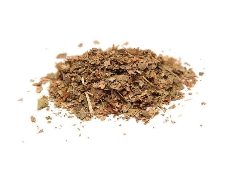 Hazelnut bark for prostatitis treatment