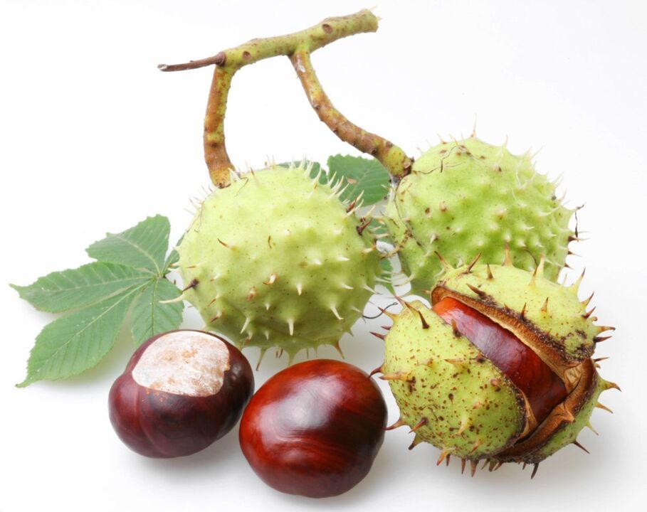 chestnut shell for prostatitis treatment